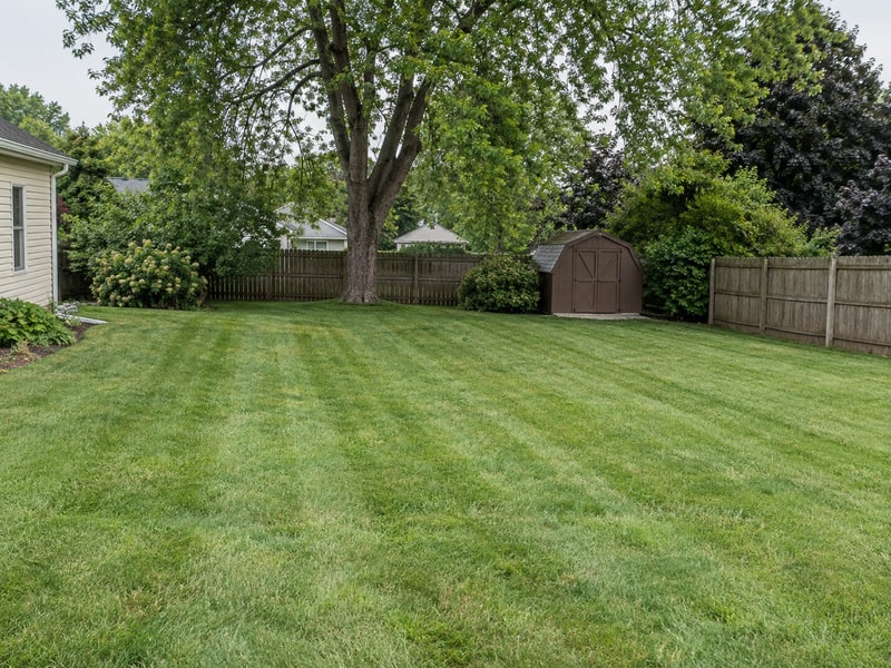 Freshly mown backyard lawn with natural mowing stripes