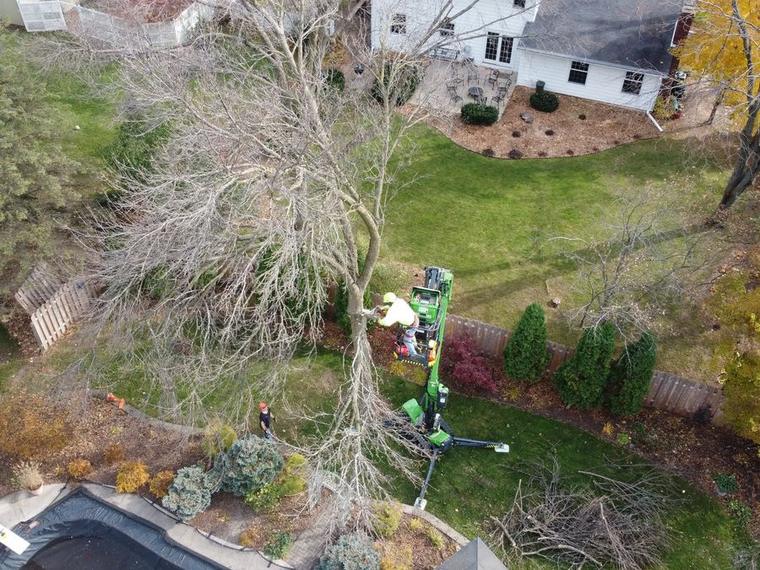 A Two Guys USA crew removing a large tree with a crane in Green Bay